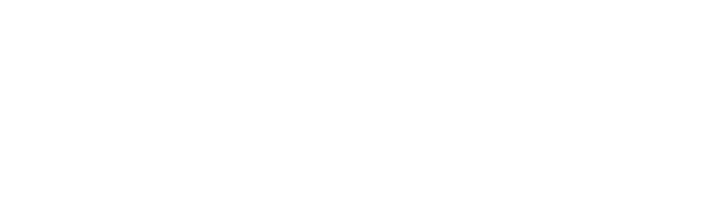 logo dolomind