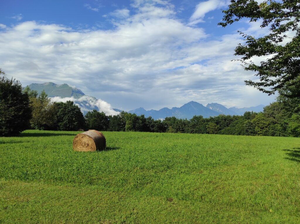 Biodistretto Terre Bellunesi, la sfida parte dalla formazione
