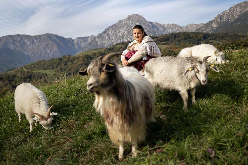 Alpago Cashmere, il lusso raro di una filiera agricola che nasce sulle montagne bellunesi