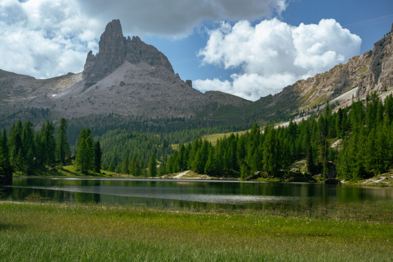 Dal cuore delle montagne bellunesi, un premio nazionale dedicato alla biodiversità