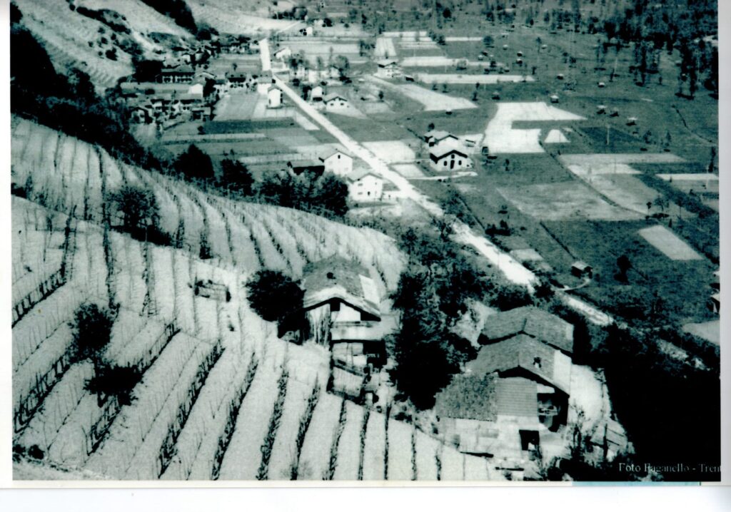 La montagna di mezzo: la vite strumento di sostenibilità