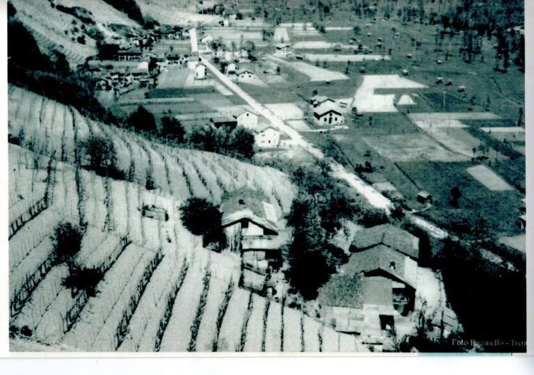 La montagna di mezzo: la vite strumento di sostenibilità