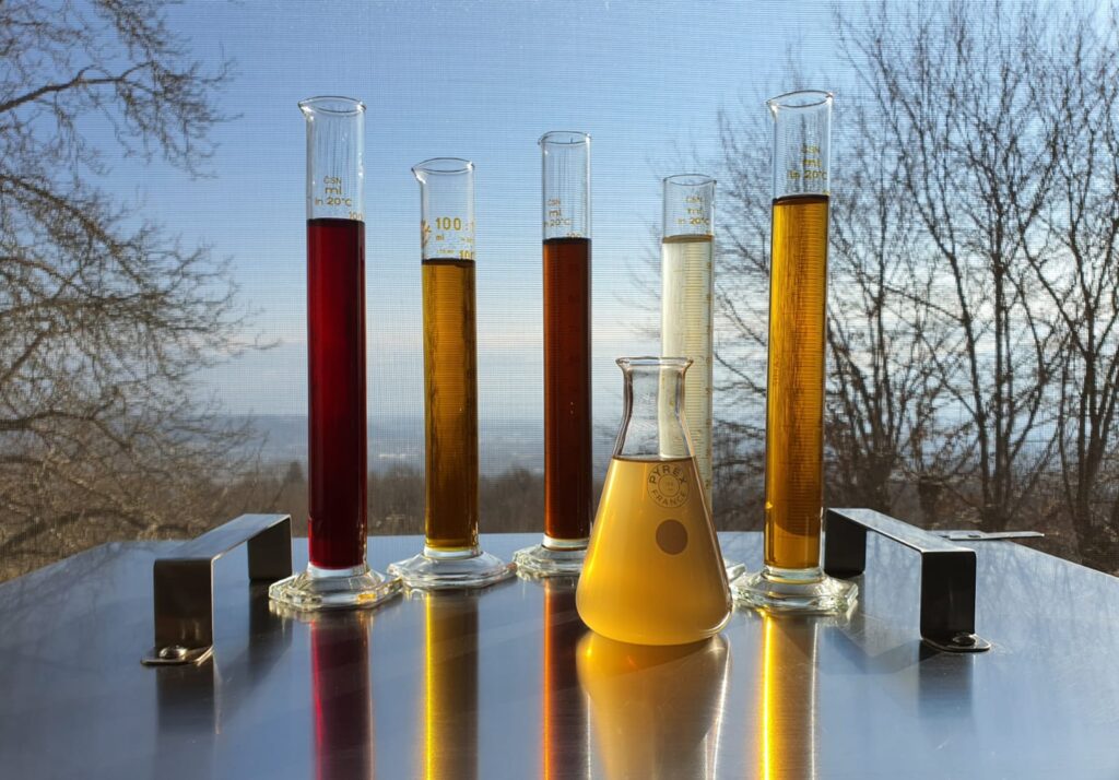 Moldoi, la tecnologia a servizio delle piante officinali