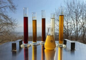 Moldoi, la tecnologia a servizio delle piante officinali