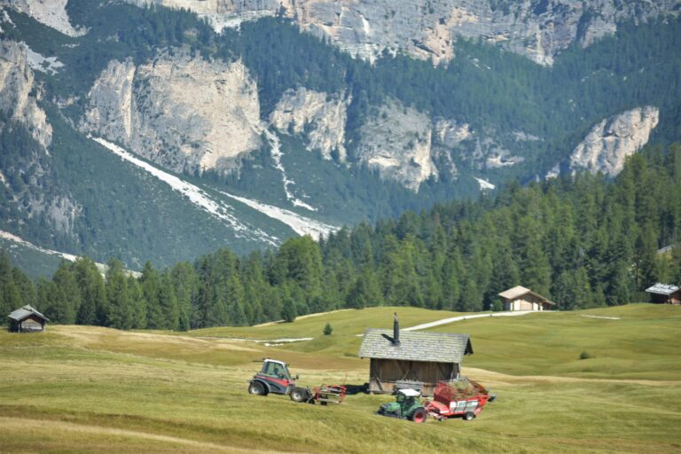 Agricoltura bellunese, la svolta passa dalla multifunzionalità e dal fare sistema