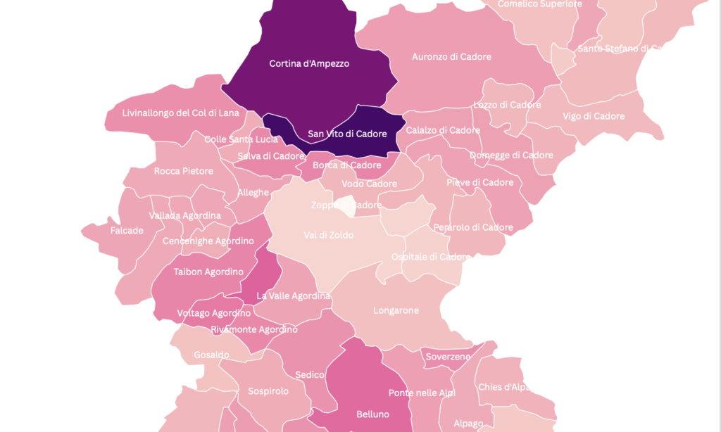 Redditi 2024. Tra Cadore e capoluogo: dove si guadagna di più