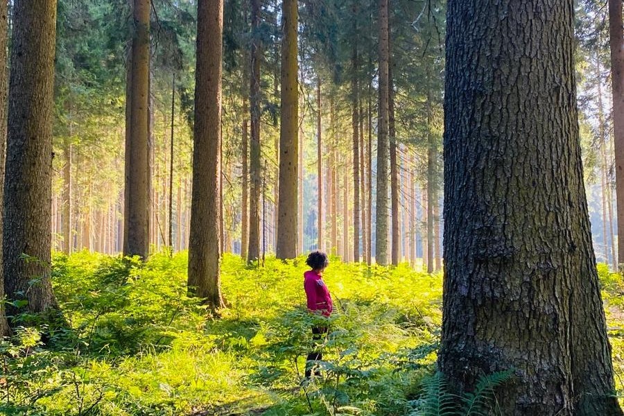Re:treat, quattro giorni di Life design tra le Dolomiti