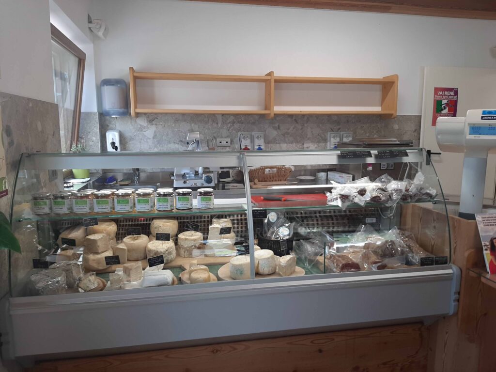Come il latte di capra è tornato a San Vito di Cadore