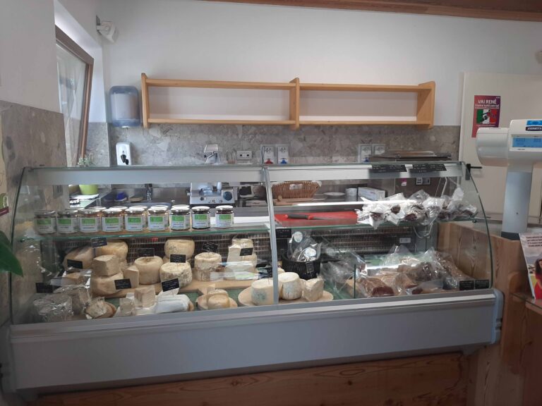 Come il latte di capra è tornato a San Vito di Cadore