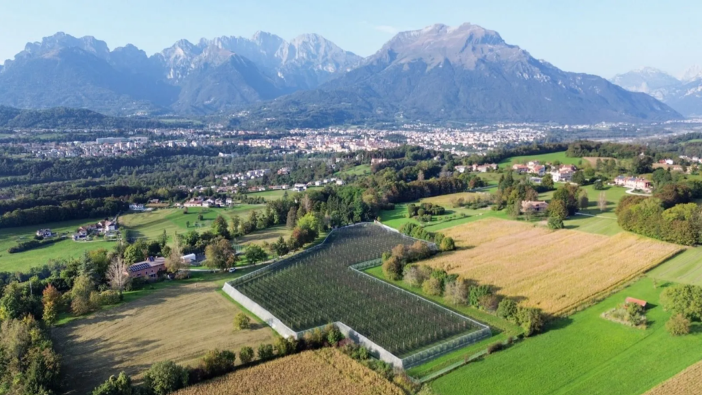 Da Bruxelles a Belluno: la scommessa bio di Fattore Dolomiti